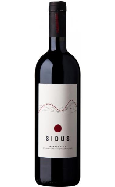 sidus_2013_god.jpg