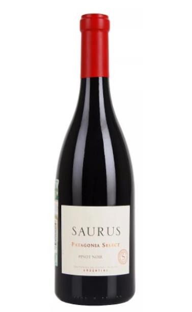 saurus_select_patagonia_pinot_noir_2018_god.jpg