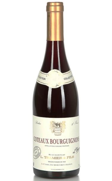 tramier_coteaux_bourguignon_2018_god.jpg