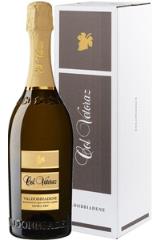 col_vetoraz_valdobbiadene_prosecco_superiore_2020_god_v_podarochnoj_upakovke.jpg