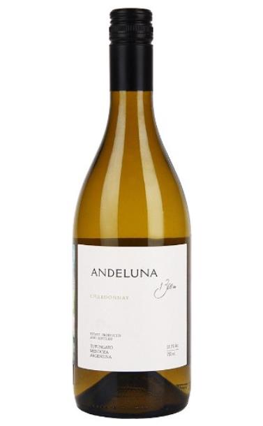 andeluna_chardonnay_2019_god.jpg