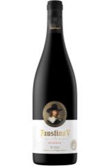 faustino_v_reserva_2015_god.jpg