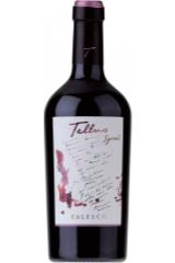 falesco_tellus_syrah_2017_god.jpg