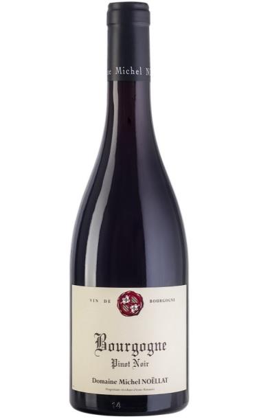 domaine_michel_noellat_bourgogne_pinot_noir_2018_god.jpg