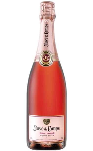 cava_juve_camps_brut_rose_pinot_noir_2018_god.jpg