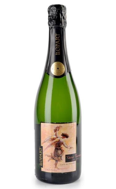 cava_llopart_nectar_terrenal.jpg