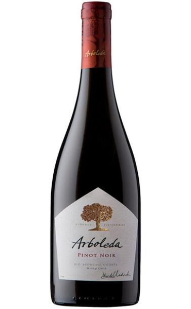 arboleda_pinot_noir_2018_god.jpg