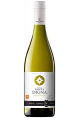 santa_digna_reserva_chardonnay_2018_god.jpg