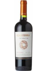 caliterra_tributo_cabernet_sauvignon_2017_god.jpg