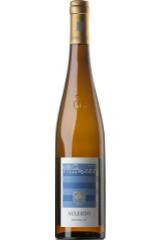 wittmann_aulerde_riesling_gg_2016_god.jpg