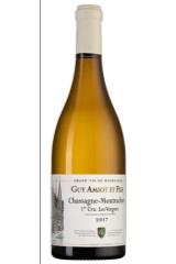 domaine_amiot_guy_et_fils_chassagne-montrachet_premier_cru_les_vergers_2017_god.jpg