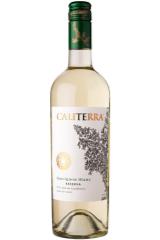 caliterra_sauvignon_blanc_reserva_2019_god.jpg