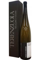 terenzuola_fosso_di_corsano_vermentino_2016_god_v_podarochnoj_upakovke.jpg